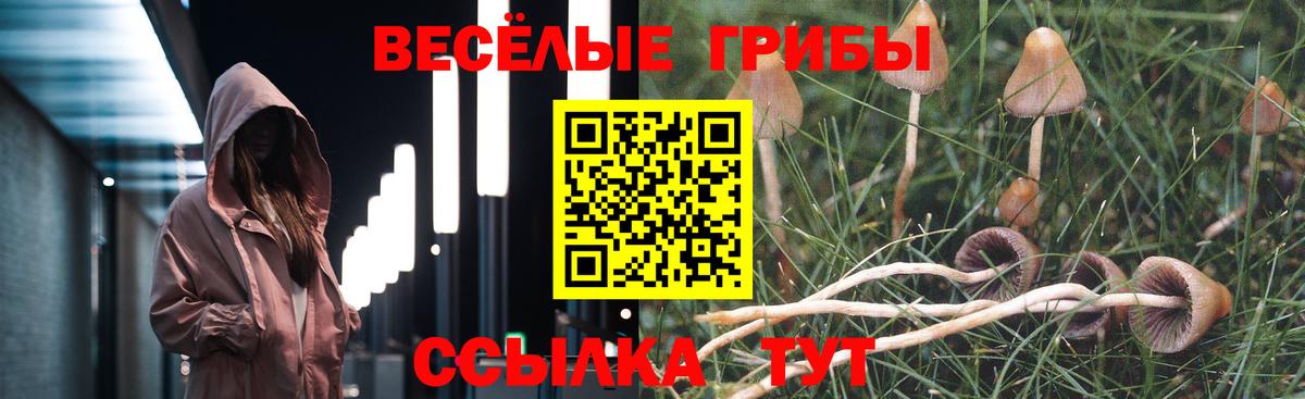 Обь  Галлюциногенные грибы мухоморы  Вход с VPN 